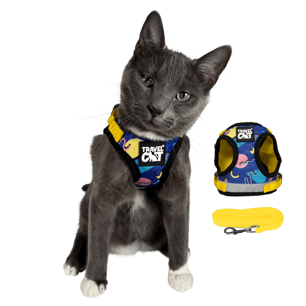 #Color_The 90s Cat