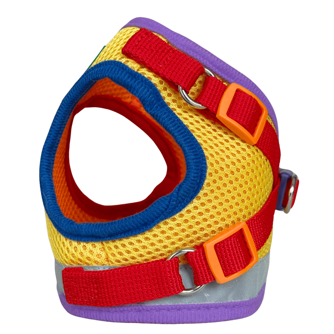 "The Rainbow" Limited Edition Cat Harness & Leash Set