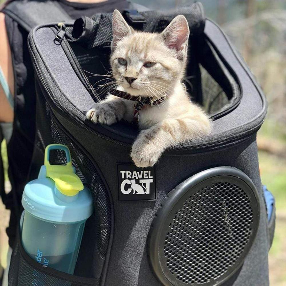 "The Fat Cat" Cat Backpack in Charcoal - For Larger Cats