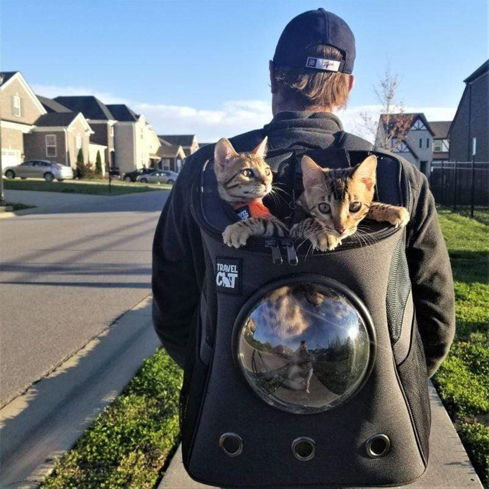 "The Fat Cat" Cat Backpack in Charcoal - For Larger Cats