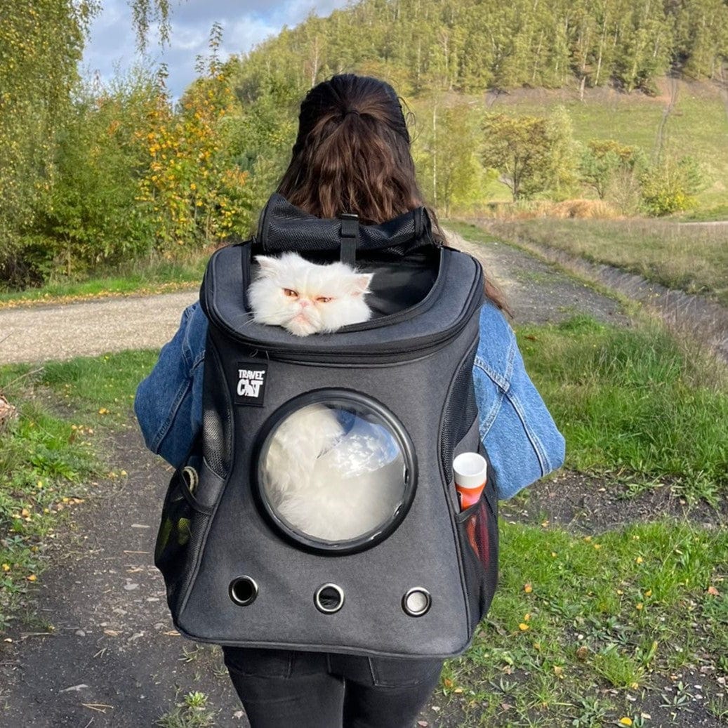 "The Fat Cat" Cat Backpack in Charcoal - For Larger Cats